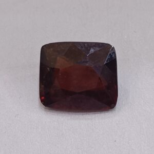 GARNET
