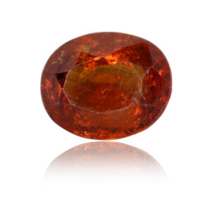 GARNET