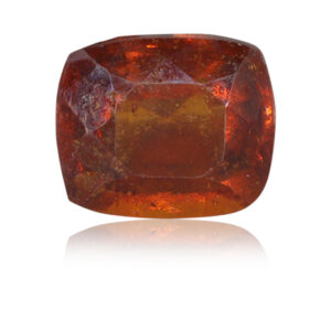 GARNET